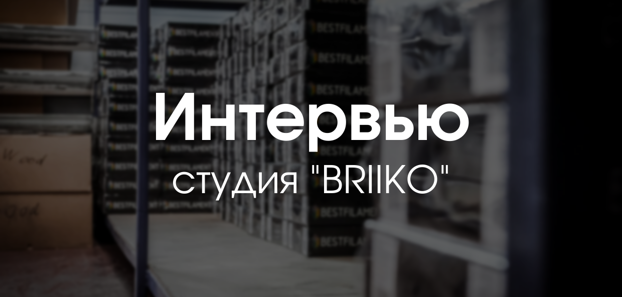 Знакомство с 3D-печатниками. Студия «BRIIKO»